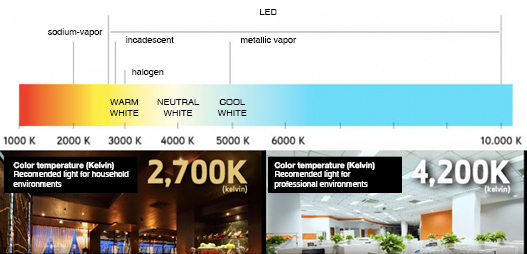 Light temp image